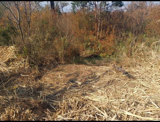 20HA FARM FOR SALE IN NELSPRUIT RURAL